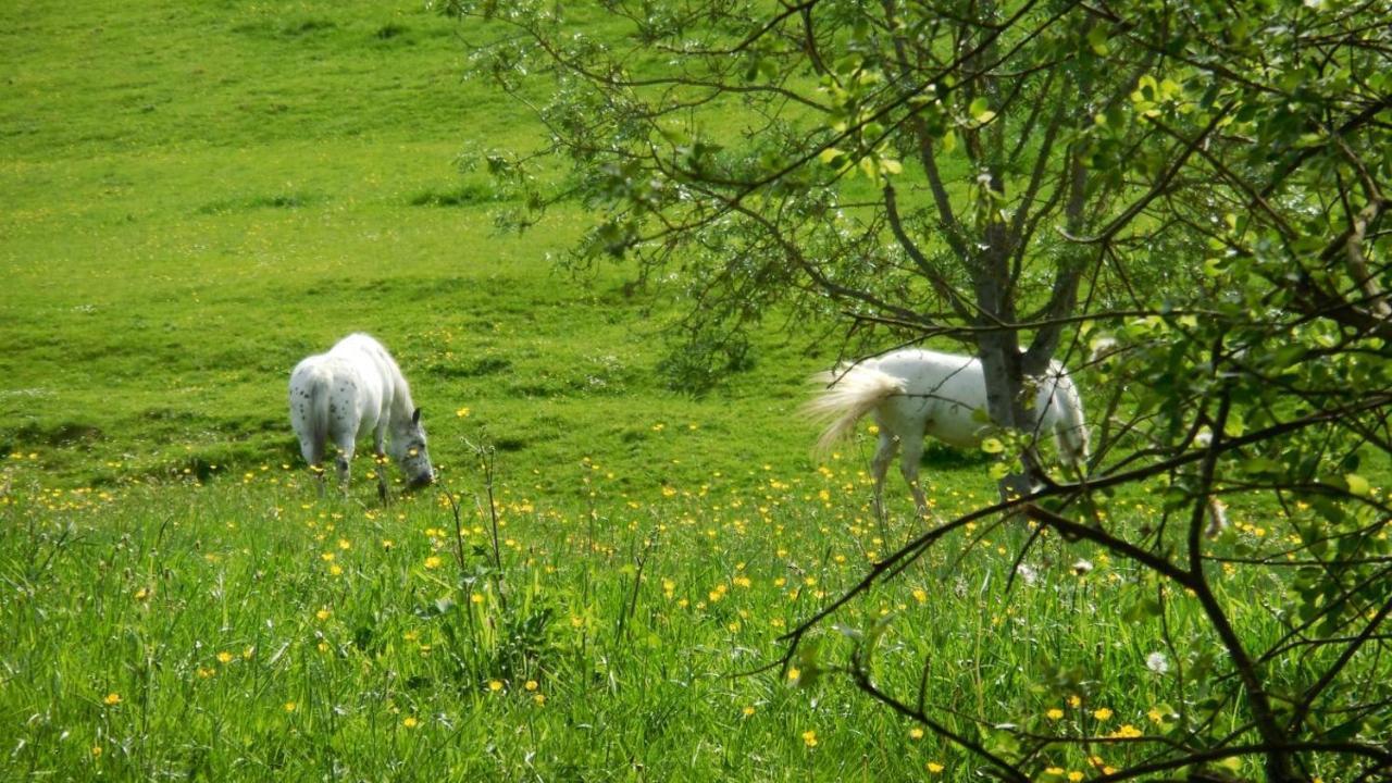 Вилла Appaloosa Lormes Экстерьер фото