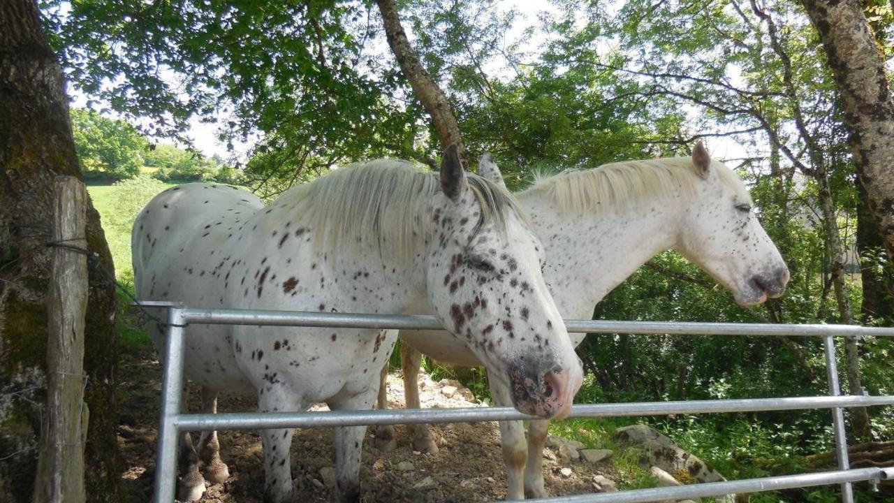 Вилла Appaloosa Lormes Экстерьер фото